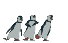 La danse des pingouins